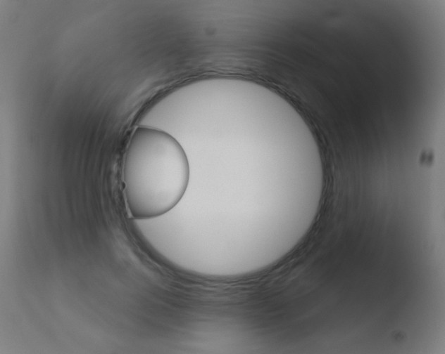 X0000110720744200906121246