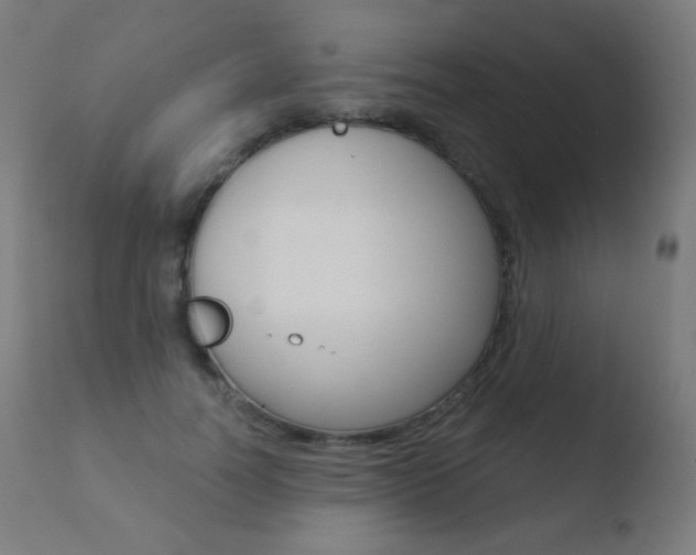 X0000110720746200906121246