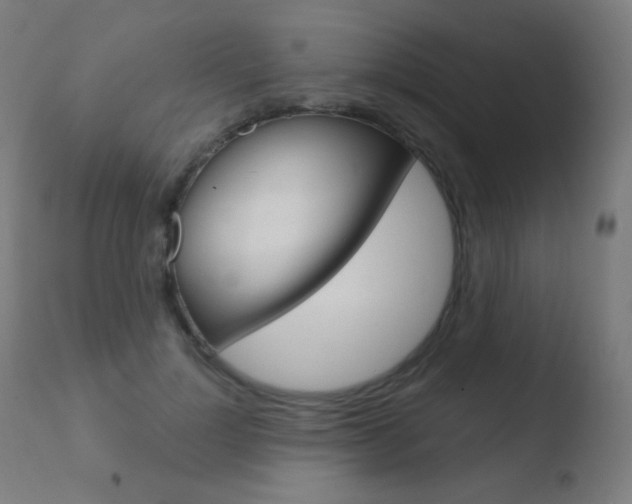 X0000110720748200906121246