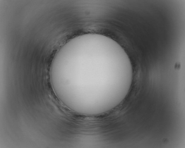 X0000110720749200906121246