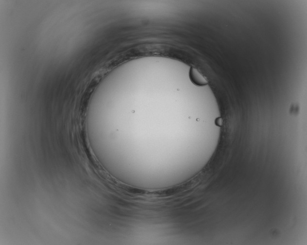 X0000110720751200906121246