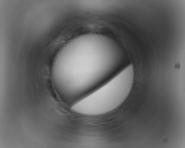 X0000110720752200906121246