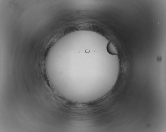 X0000110720753200906121246