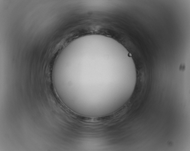 X0000110720754200906121246