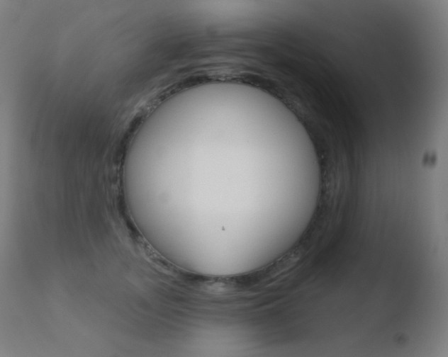 X0000110720755200906121246