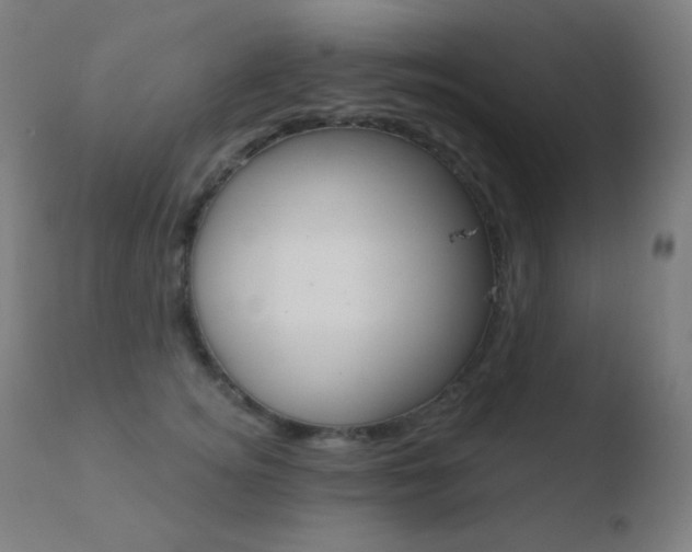 X0000110720756200906121246