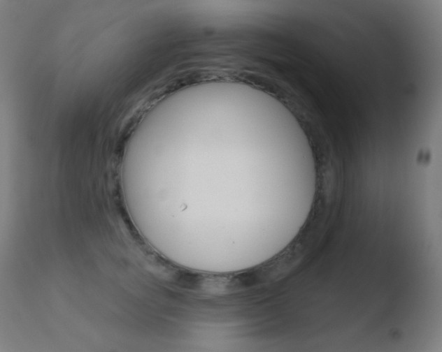 X0000110720757200906121246