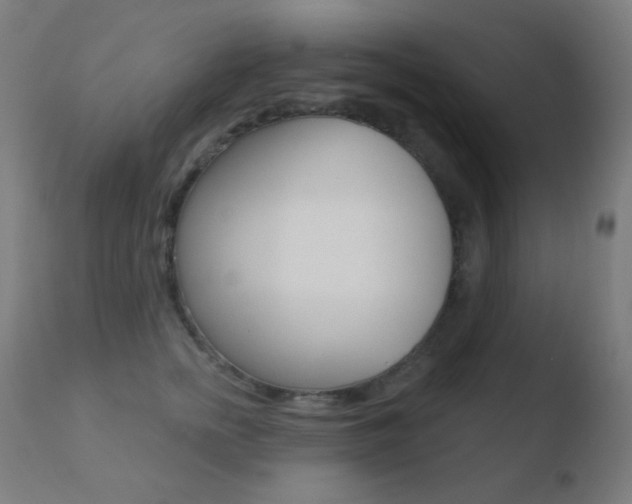 X0000110720758200906121246