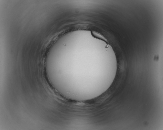 X0000110720759200906121246