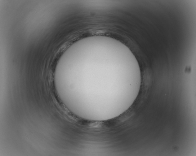X0000110720761200906121247
