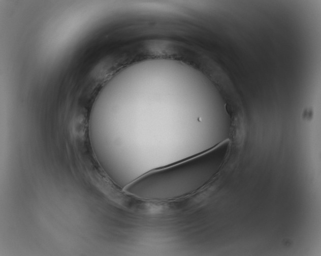 X0000110720762200906121247