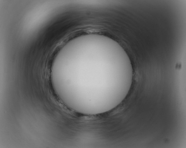 X0000110720763200906121247