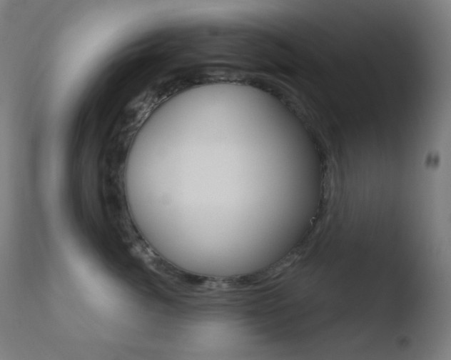 X0000110720764200906121247