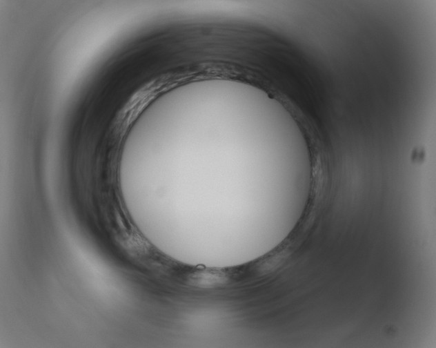 X0000110720765200906121247