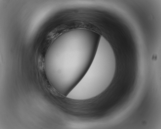 X0000110720766200906121247