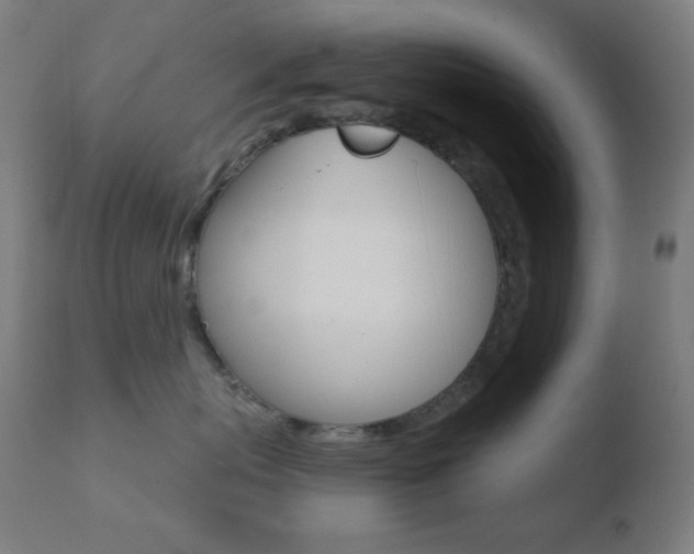 X0000110720767200906121247
