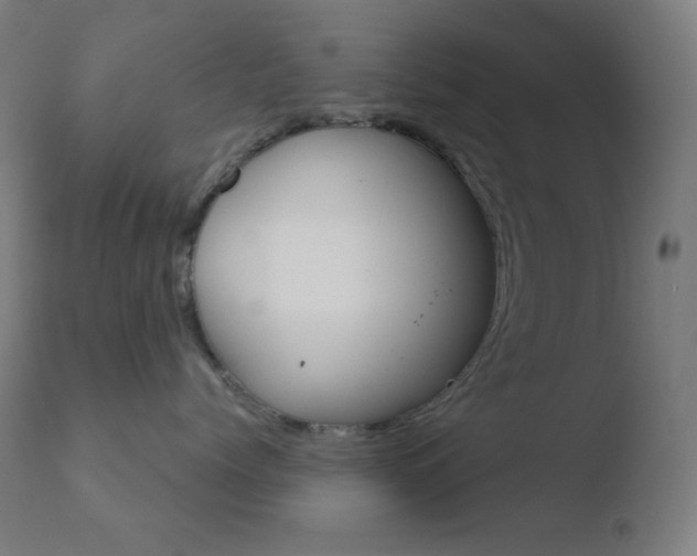 X0000110720768200906121247