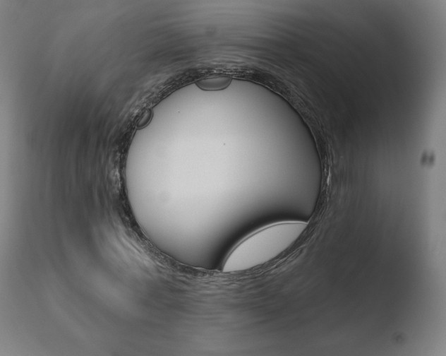 X0000110720771200906121246