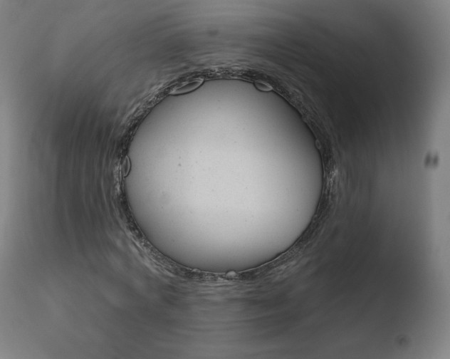 X0000110720772200906121246