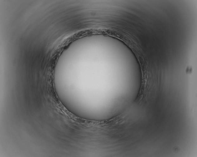 X0000110720773200906121246