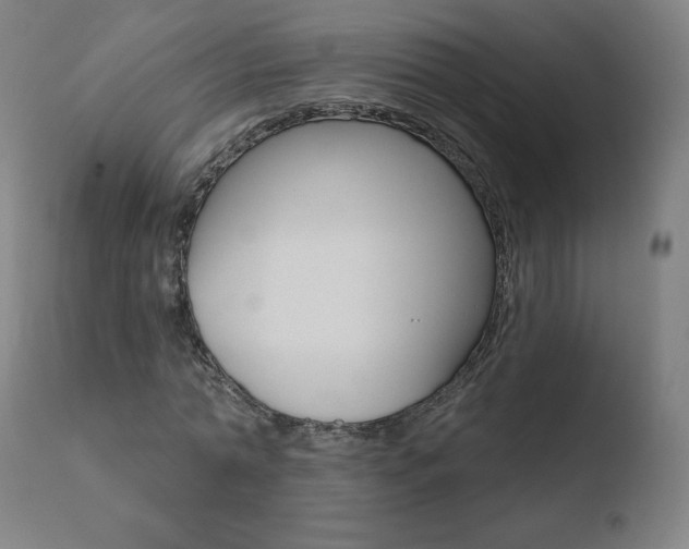 X0000110720774200906121246