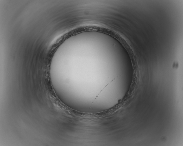 X0000110720775200906121246