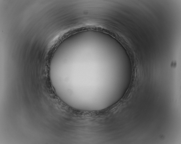 X0000110720776200906121246