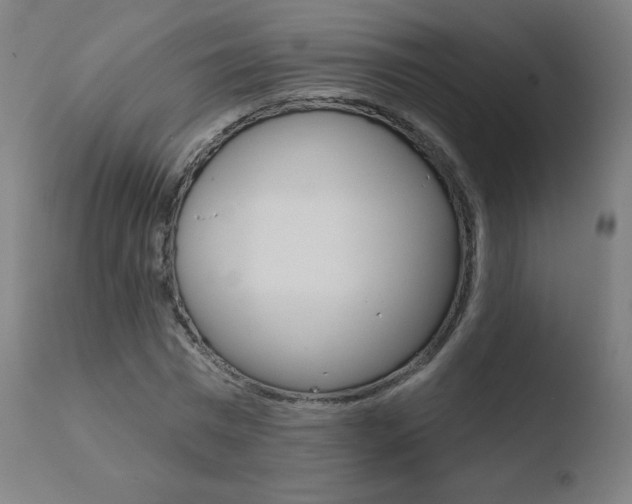 X0000110720777200906121246