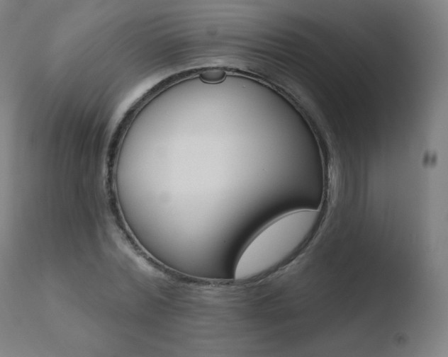 X0000110720780200906121246
