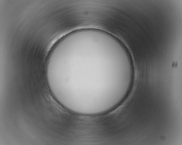 X0000110720781200906121246