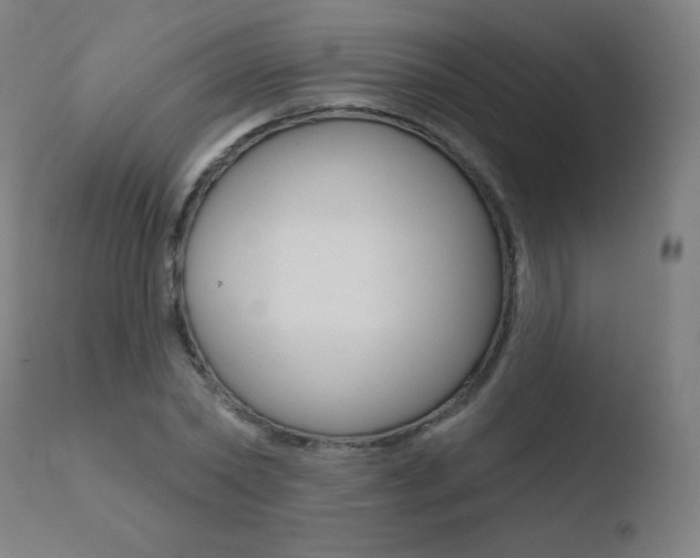 X0000110720782200906121246