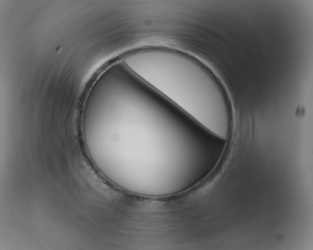 X0000110720783200906121246