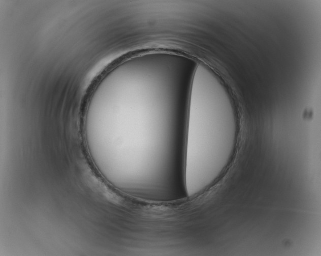X0000110720784200906121246