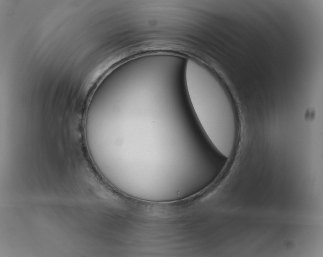 X0000110720786200906121246