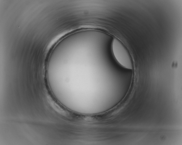 X0000110720787200906121246
