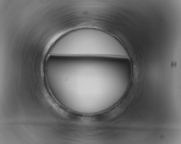 X0000110720788200906121246
