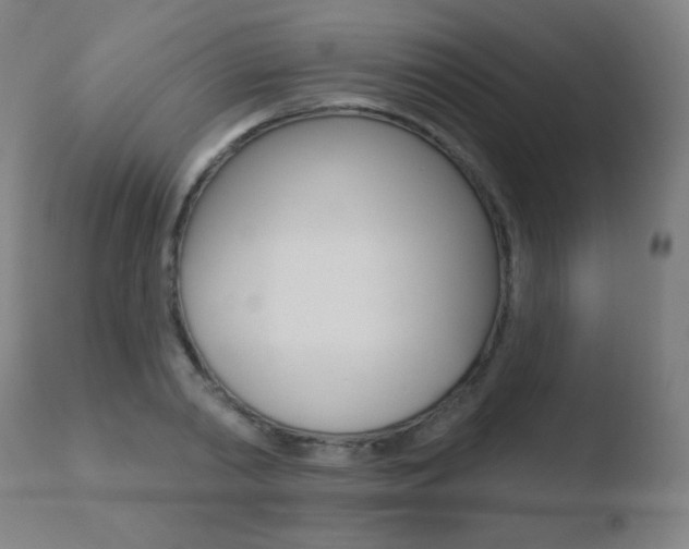 X0000110720790200906121245