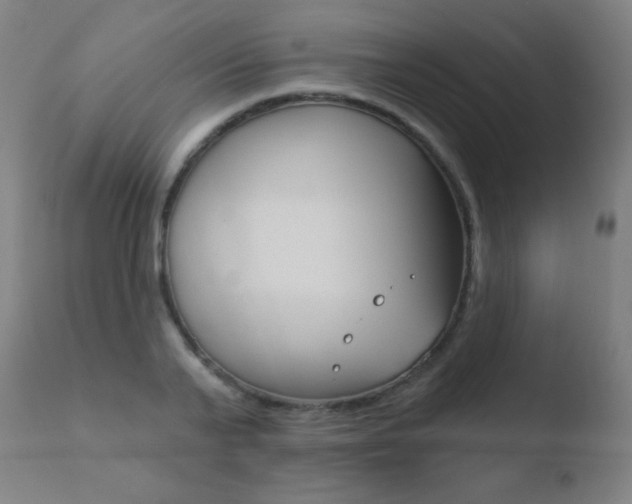 X0000110720791200906121245