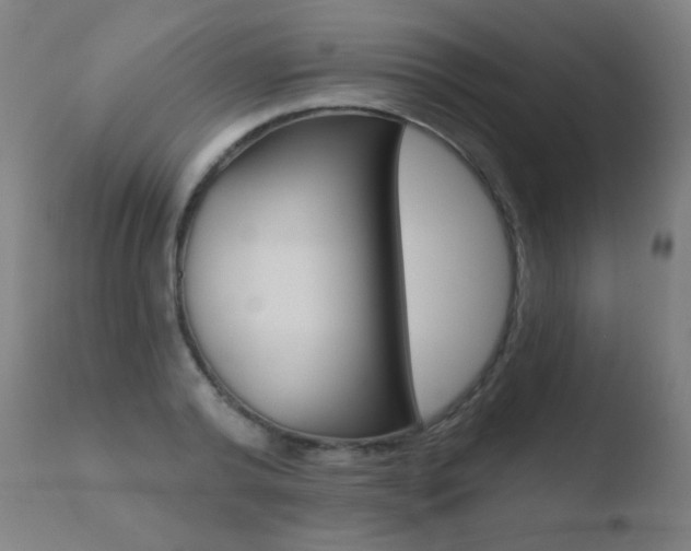 X0000110720792200906121245
