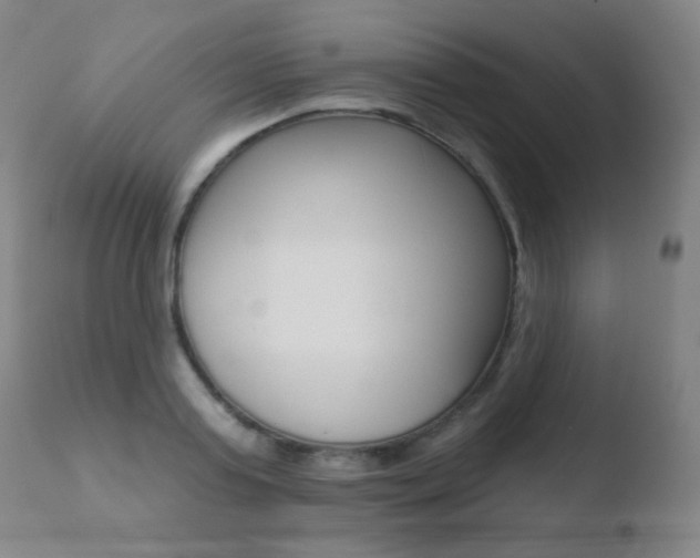 X0000110720795200906121245