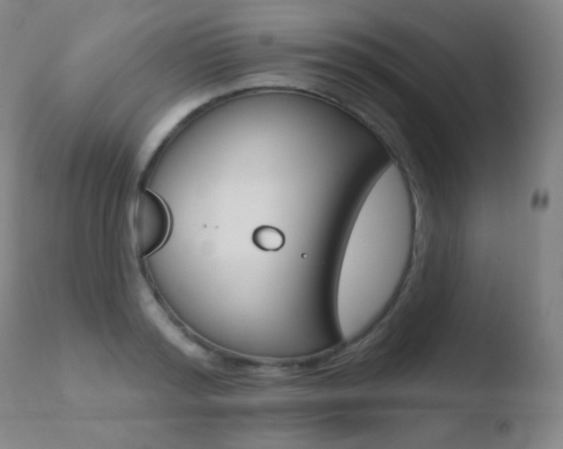 X0000110720796200906121245