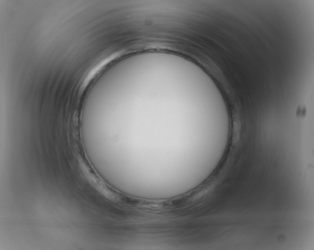 X0000110720798200906121245