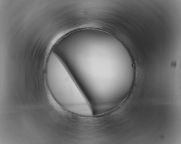 X0000110720800200906121245