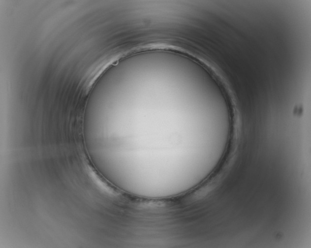X0000110720801200906121245
