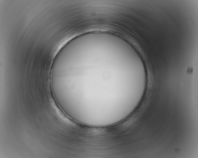 X0000110720802200906121245