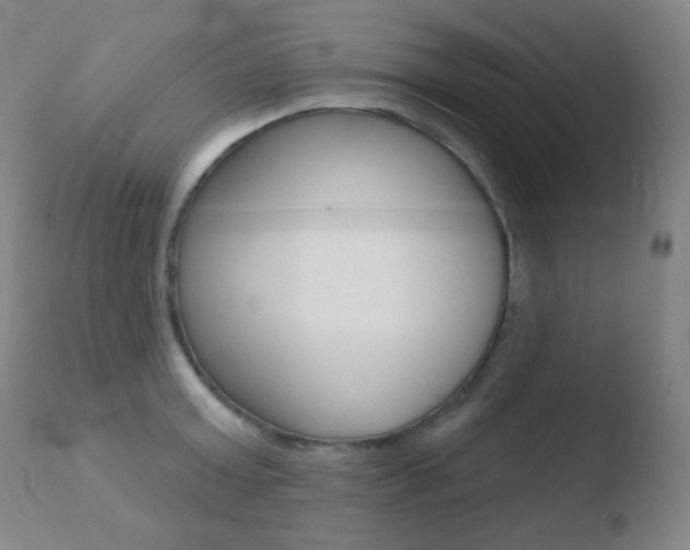 X0000110720803200906121245