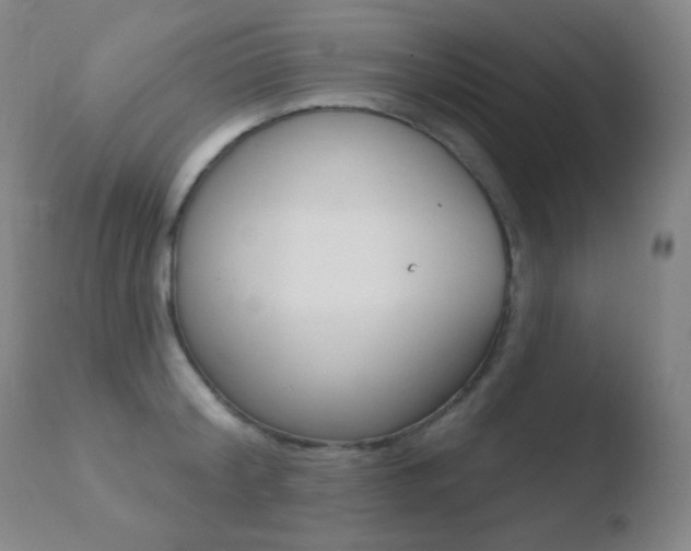 X0000110720804200906121245