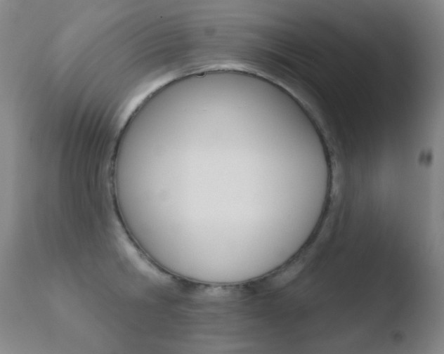 X0000110720806200906121245
