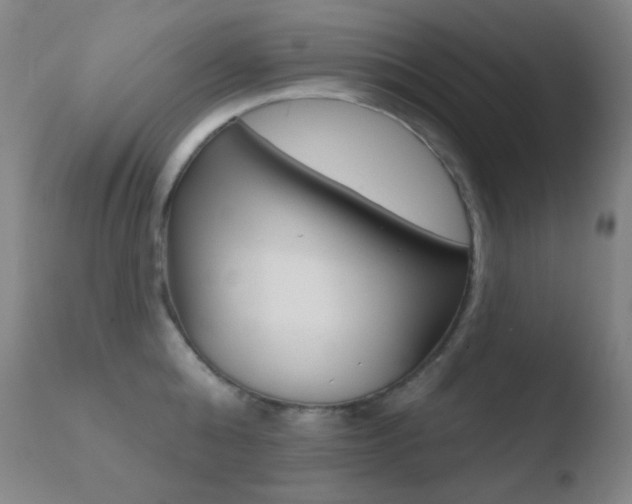 X0000110720808200906121245