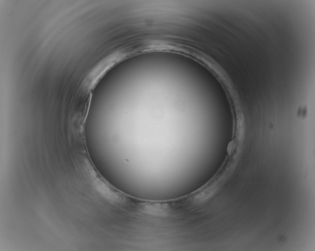X0000110720809200906121245